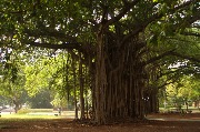 IMG_5690.jpg